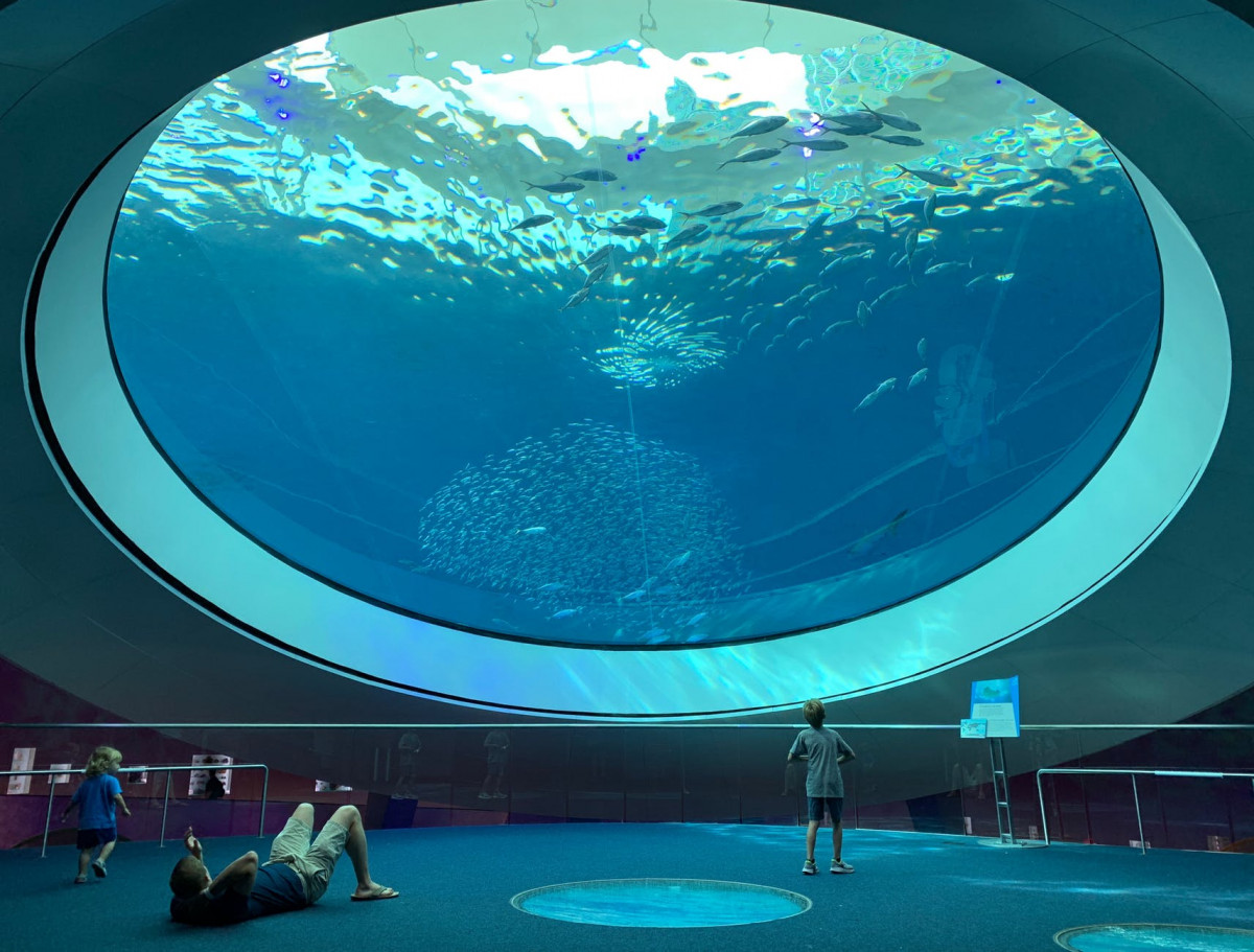 people visiting an aquarium