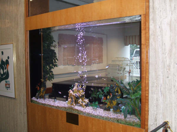 The Aquarium Air Pump: